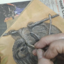 Realistic Textures: Coloring a Three-Toed Sloth with Kathy Flanagan