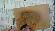 Realistic Textures: Coloring a Mountain Lion with Kathy Flanagan