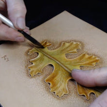 Coloring White Oak Leaves with Ed LaBarre