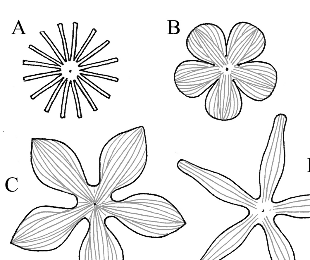 Leathercraft Pattern for 3-D Leather Columbine by Annie Libertini