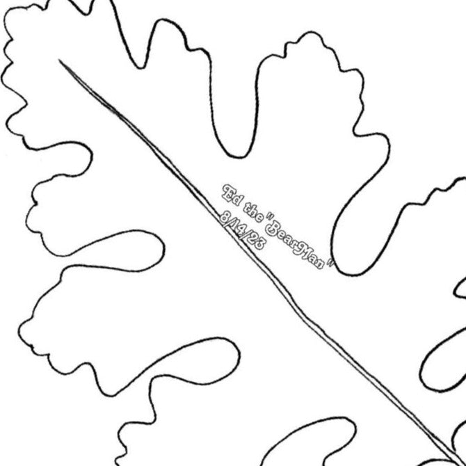 White Oak Leaf Pattern by Ed LaBarre