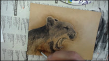 Realistic Textures: Coloring a Mountain Lion with Kathy Flanagan