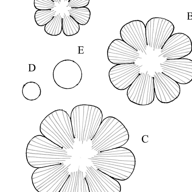 Leathercraft Pattern for 3-D Leather Marigolds by Annie Libertini