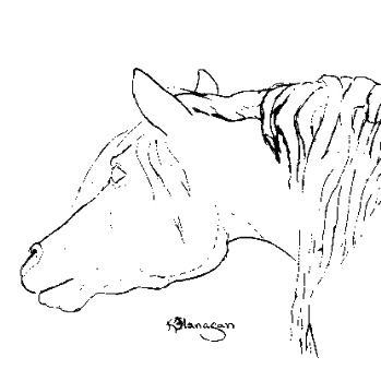 Free Leather Pattern for Looking Back Horse