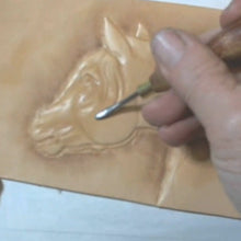 Looking Back Horse with Kathy Flanagan