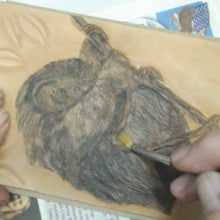 Realistic Textures: Coloring a Three-Toed Sloth with Kathy Flanagan