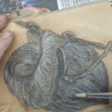 Realistic Textures: Coloring a Three-Toed Sloth with Kathy Flanagan