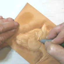 Looking Back Horse with Kathy Flanagan