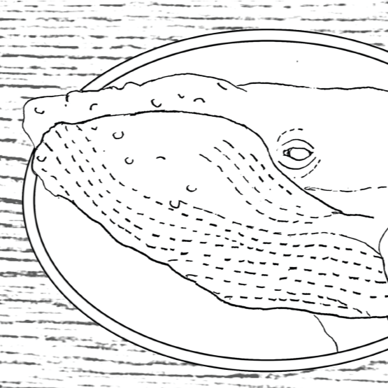 Free Leathercraft Pattern for