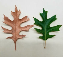 Oak Leaf Workshop with Jim Linnell