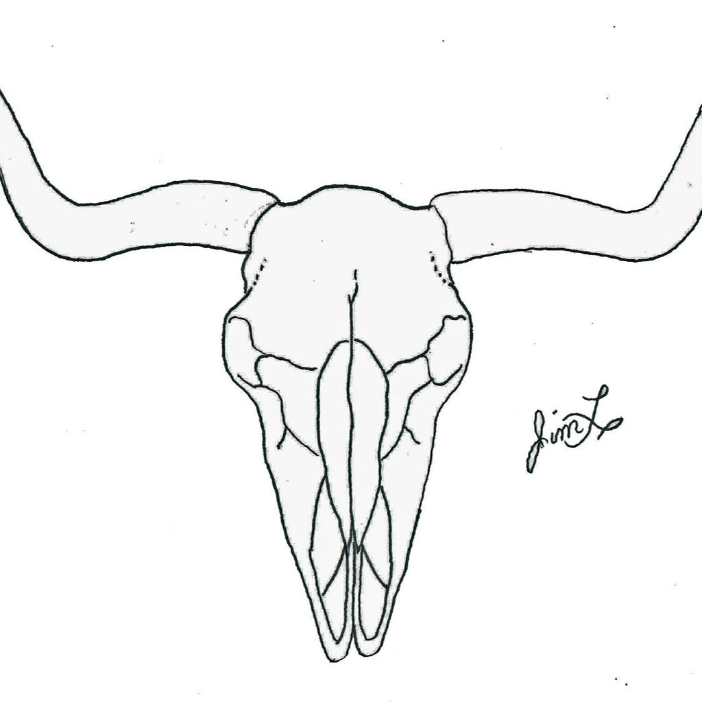 steer skull line drawing