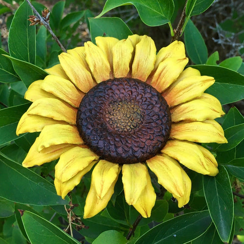 3-D Leather Sunflowers with Annie Libertini