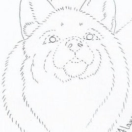 Free Pattern for Arctic Fox Figure Carving with Kathy Flanagan