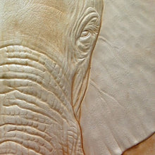 Realistic Textures: Figure Carving an Elephant with Kathy Flanagan