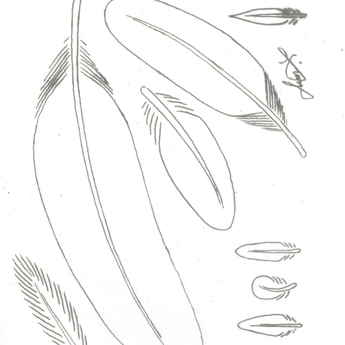Free Leathercraft Pattern 3-Dimensional Leather Feathers