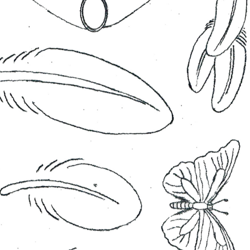 Feather Earrings Templates by Jim Linnell