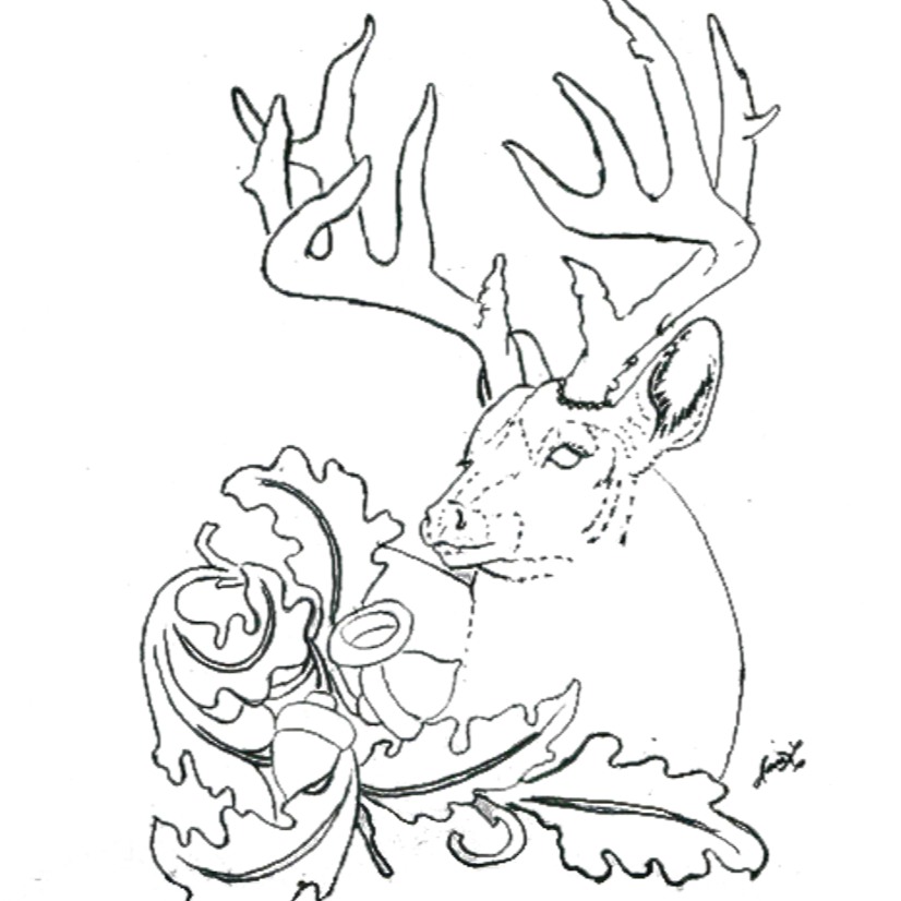 Free Pattern for White-Tailed Deer Figure Carving Workshop