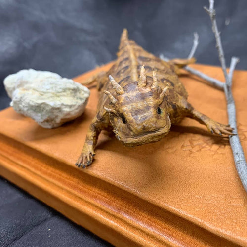Leather Horned Toad Sculpture with Jim Linnell