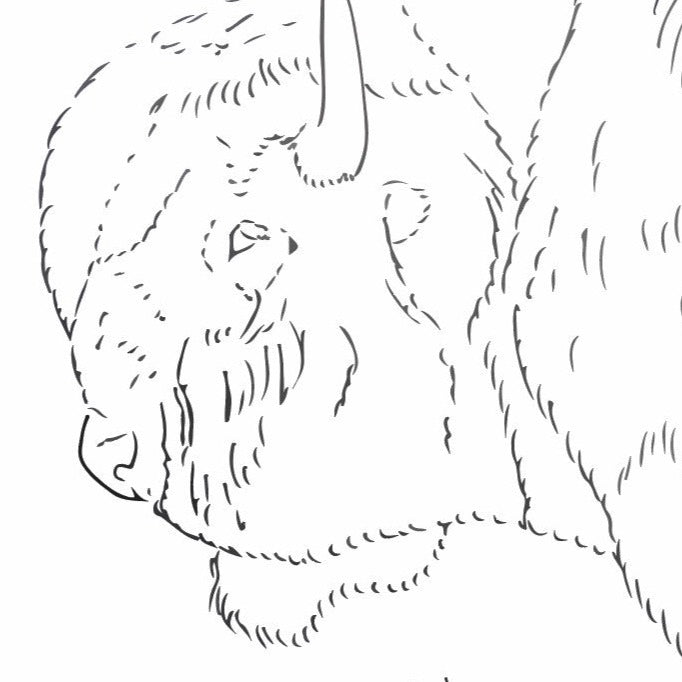Free Leather Pattern for American Bison by Kathy Flanagan