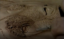 Extreme Embossing: Grizzly Bear by Robb Barr