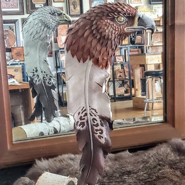 Looking Back Eagle by Robb Barr