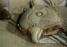 Extreme Embossing: Ring-neck Pheasant by Robb Barr