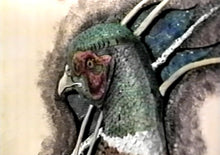 Extreme Embossing: Ring-neck Pheasant by Robb Barr