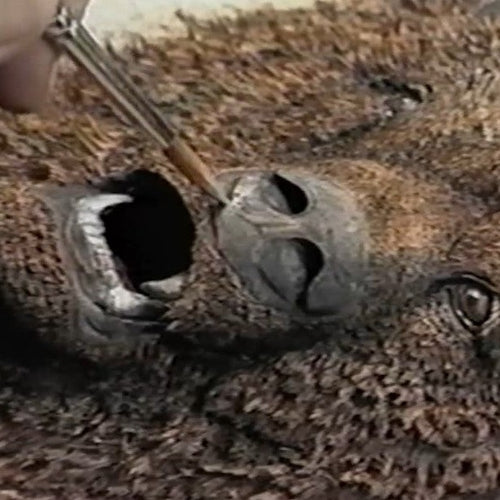 Extreme Embossing: Grizzly Bear by Robb Barr