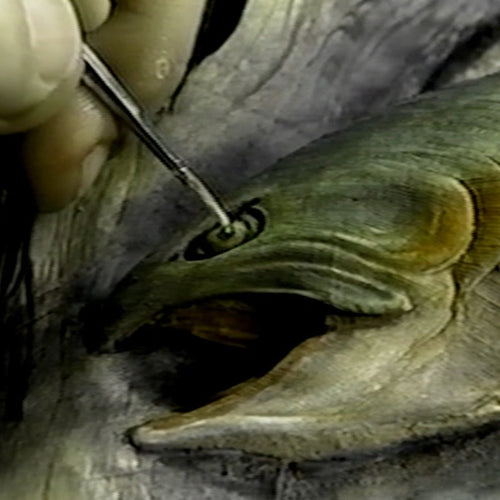 Extreme Embossing: Rainbow Trout by Robb Barr