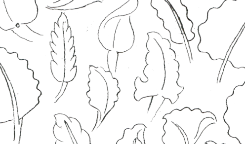 Broad Leaf Cheat Sheet by Jim Linnell