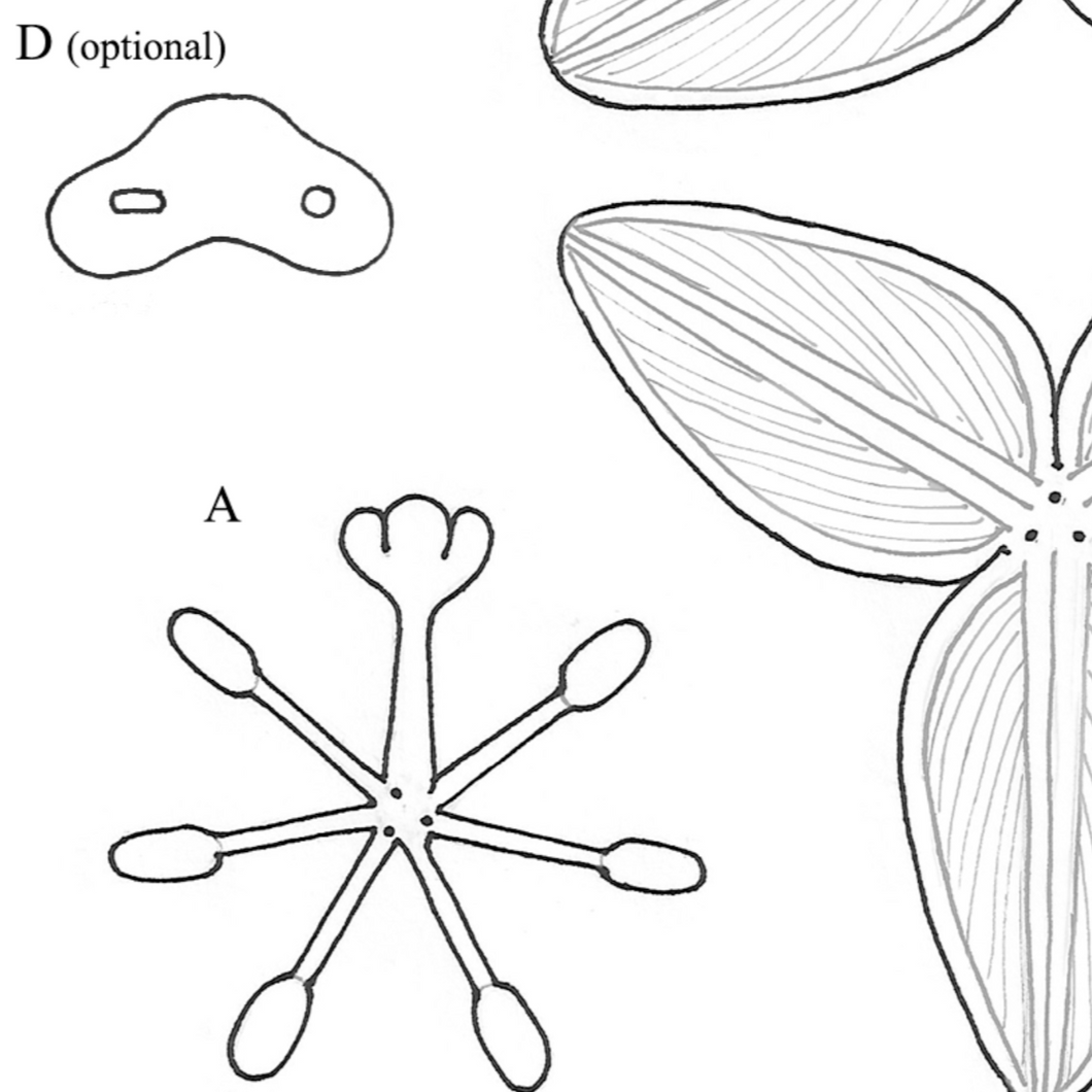 Free Leathercraft Pattern for 3-D Leather Lilies by Annie Libertini