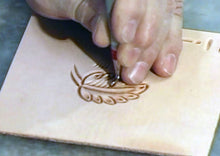 Western Floral Designs (2 Video Collection)