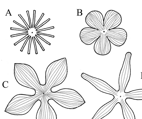 Leathercraft Pattern for 3-D Leather Columbine by Annie Libertini