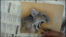 Realistic Textures: Coloring a Mountain Lion with Kathy Flanagan