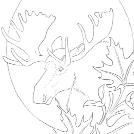 Free Pattern for Moose Figure Carving Workshop