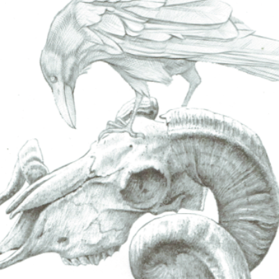 Pattern for 3-D Raven with Ram Skull by Jürgen Volbach