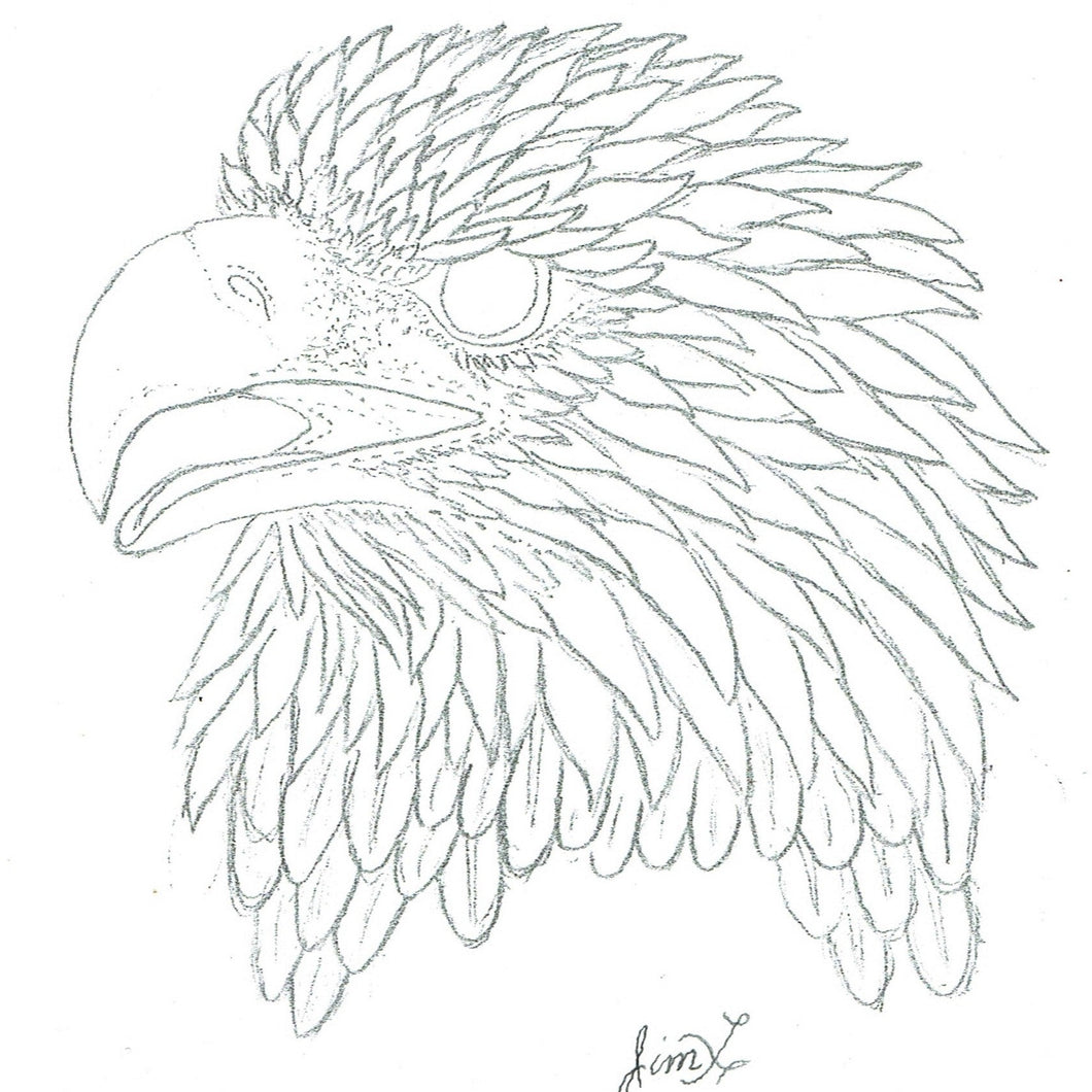Eagle Portrait by Jim Linnell
