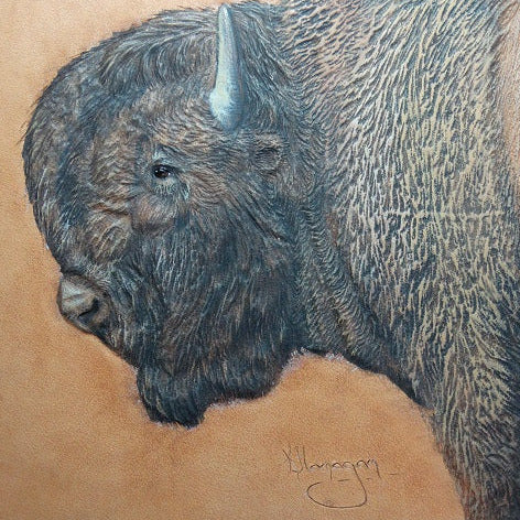Realistic Textures: Coloring an American Bison with Kathy Flanagan ...