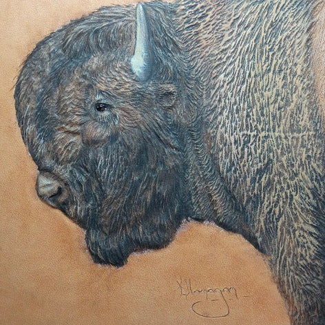 Realistic Textures: Coloring an American Bison with Kathy Flanagan