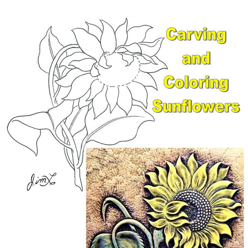 Carving & Coloring Sunflowers