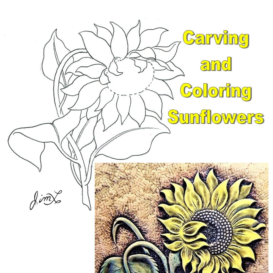 Carving & Coloring Sunflowers