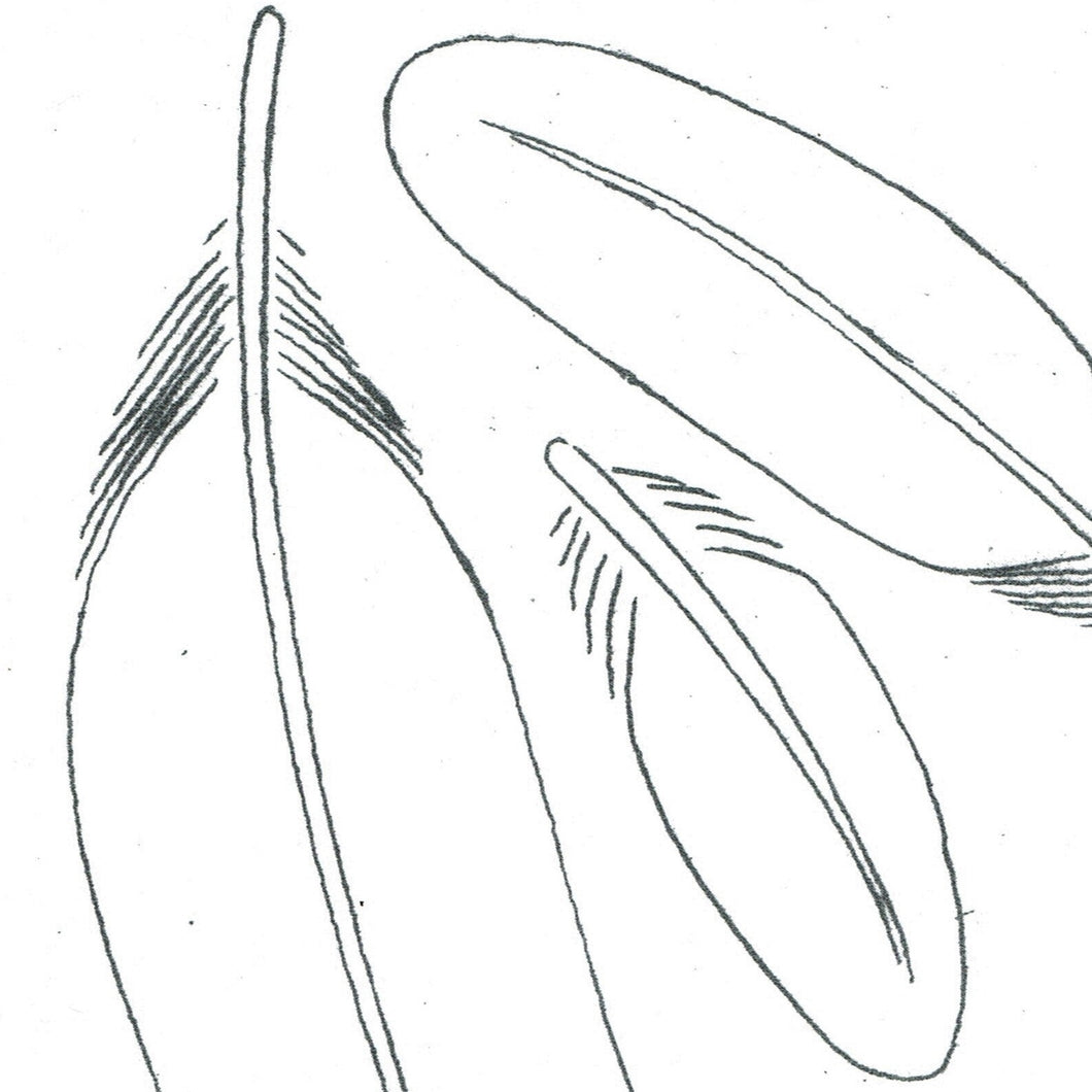 Free Feather Class Pattern – Elktracks Studio free-feather-class-pattern-elktracks-studio