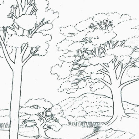 Free Leather Pattern for Pictorial Carving Pt 3 - Oaks and Leaf Bearing Trees