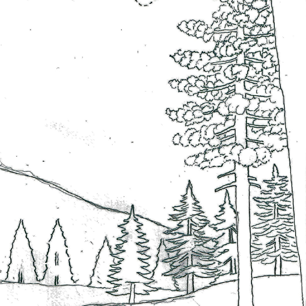 Free Leather Pattern for Pictorial Carving Pt 1 - Pine Trees and Evergreens