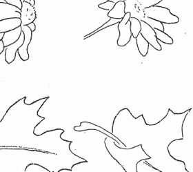 Fun with Flowers Pattern: Volume 1