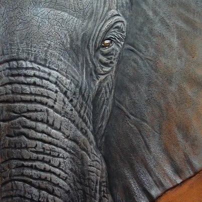 Realistic Textures: Coloring the Elephant with Kathy Flanagan