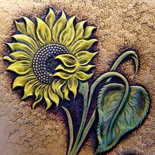Carving and Coloring Sunflowers