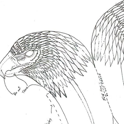 Looking Back Eagle Pattern