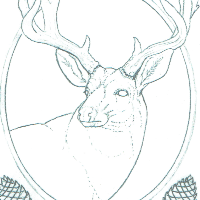 Free Pattern for Mule Deer Figure Carving Workshop