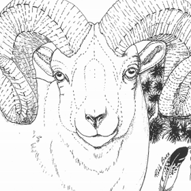 The Big Horn Sheep Pattern by Robb Barr